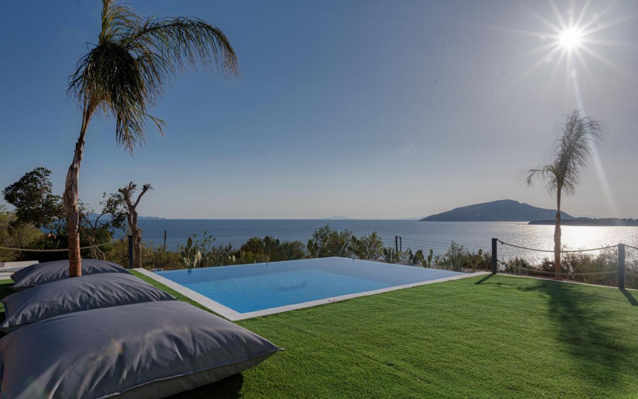 Sounio Black Villa 苏尼翁 外观 照片