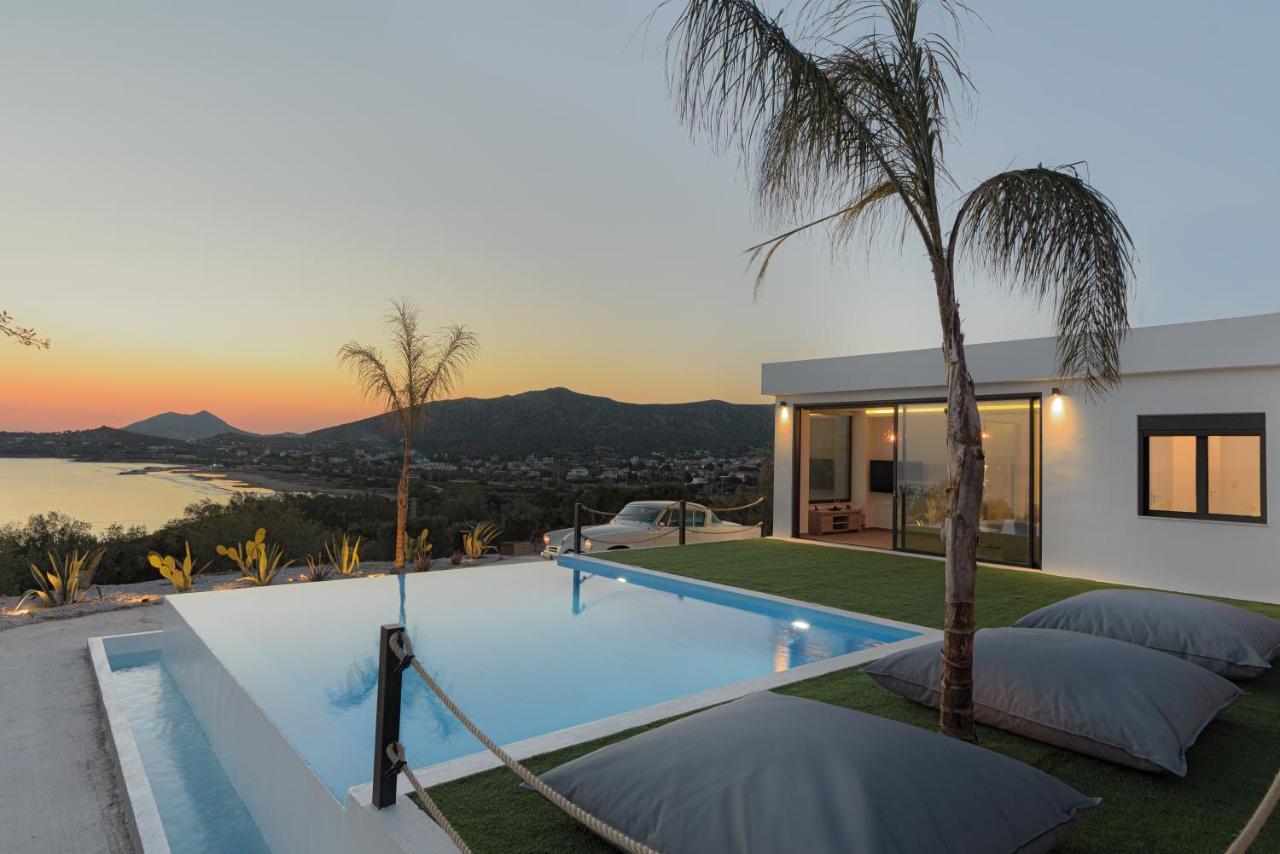 Sounio Black Villa 苏尼翁 外观 照片